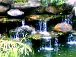 water_feng_shui_for-wealth