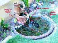 water_feng_shui_for-wealth